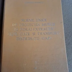 NORME UNICE DE PROTECTIA MUNCII IN FORAJ-EXTRACTIE TITEI, GAZE SI TRANSPORT-DISTRIBUTIE GAZE