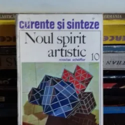 NOUL SPIRIT ARTISTIC - NICOLAS SCHOFFER