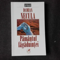 PAMANTUL FAGADUINTEI - DAMIAN NECULA