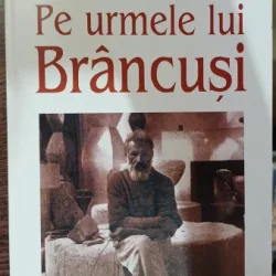 Pe urmele lui Brancusi - Serge Fauchereau