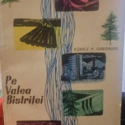 Pe Valea Bistritei - Fanica N. Gheorghe