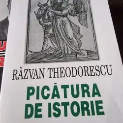 Picatura de istorie - Razvan Theodorescu