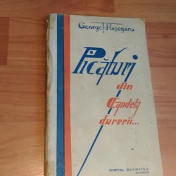 PICATURI DIN CANDELA DURERII...-GEORGE T. HASEGANU