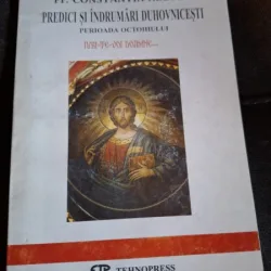 Predici si indrumari Duhovnicesti. Perioada Octoihului - Pr. Constantin Necula