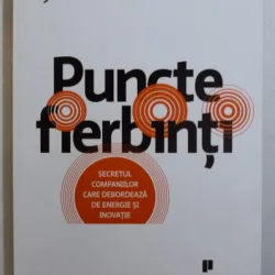 PUNCTE FIERBINTI - SECRETUL COMPANIILOR CARE DEBORDEAZA DE ENERGIE SI INOVATIE -LYNDA GRATTON