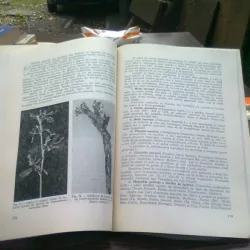 Raspandirea bolilor si daunatorilor plantelor cultivate in Romania in perioada 1961-1971