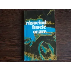 Rasucind fusele orare, Ioan Chirila
