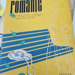 Romante Caietul 8