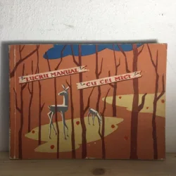 Ruth Schauer, Else Schlesinger, Ursula Harwath - Lucru Manual cu cei Mici