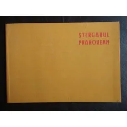 Stergarul prahovean - Fragmente de arta populara - N.I. Simache