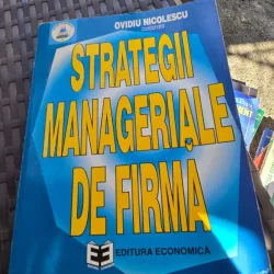 Strategii manageriale de firma - Ovidiu Nicolescu