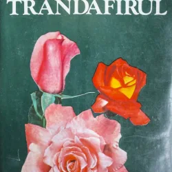 TRANDAFIRUL, STELIAN POPESCU