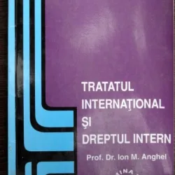 Tratat international si dreptul intern - Ion M. Anghel