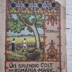 Un splendid colt din Romania-Mare - D. E Petrescu