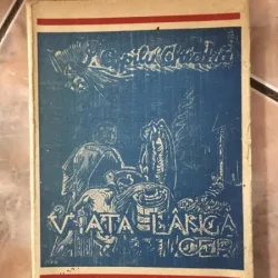V. Copilu-Cheatra - Viata Langa Cer