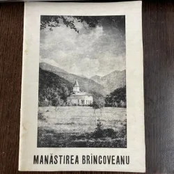 Veniamin Tohaneanu Manastirea Brancoveanu