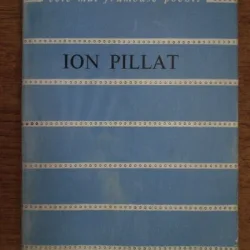 VERSURI - ION PILLAT