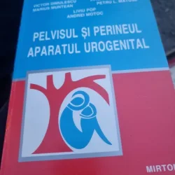 Victor Dimulescu, Marius Muntean, Virgiliu Niculescu, Petru L. Matusz - Pelvisul si perineul. Aparatul urogenital