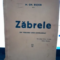 Zabrele, din versurile unui comandant - M,Gh. Bujior