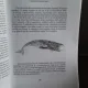 100 DE ANIMALE CIUDATE - ENCICLOPEDIA COPIILOR