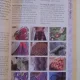 100 DE FLORI SI ALTE ACCESORII CROSETATE DE CLAIRE CROMPTON 2012
