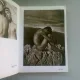 1000 NUDES. UWE SCHEID COLLECTION - MICHAEL KOETZLE