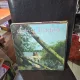 Romante - Doina Badea