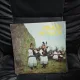 Vinil Fratii Pitigoi