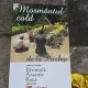 Mormântul cald de la Prislop - Părintele Arsenie Boca