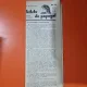 Bilete de papagal - no 65 / 19 aprilie 1928