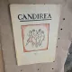Gândirea - nr 7, 5 noiembrie 1922