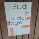 Studii de muzicologie vol.V