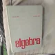 Algebra - Ion D. Ion, Nicolae Radu
