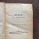 A. G. Vaida - Aviva. Fiica ghetoului
