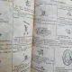 A. Grevin, Adrien Huart - Almanach des Parisiennes 1883