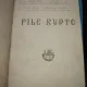 A. VLAHUTA - FILE RUPTE