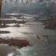 ABOVE SYDNEY - NICHOLAS BRASH  )TEXT IN LIMBA ENGLEZA)