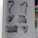 ACTA MUSEI POROLISSENSIS NR.3/1979