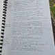 Advanced Language practice - Michael Vince