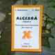 ALGEBRA CLASA X. REZOLVAREA PROBLEMELOR DIN MANUAL - C. NASTASESCU