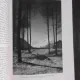 Almanach 1932, Innsbruck