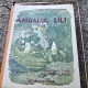 Amiralul Lili – prelucat dupa P. J. Stahl de D. Ionescu Morel