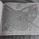 AN ATLAS OF RARE CITY MAPS. COMPARATIVE URBAN DESIGN, 1830-1842 - MELVILLE C. BRANCH  (TEXT IN LIMBA ENGLEZA)