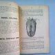 ANATOMIA FIZIOLOGIA SI IGIENA OMULUI PENTRU CLASA IV-A SECUNDARA - C. LACRITEANU