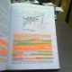 Anatomia functionala a capului si gatului - Cezar Th. Niculescu