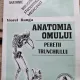 ANATOMIA OMULUI, PERETII TRUNCHIULUI DE VIOREL RANGA