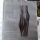 ANATOMIE HUMAINE DESCRIPTIVE ET TOPOGRAPHIQUE - H. ROUVIERE    VOL.2  (ANATOMIE DESCRIPTIVE SI TOPOGRAFICA)