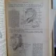 ANATOMO FIZIOLOGIA CLINICA A SISTEMULUI NERVOS CENTRAL - A. KREINDLER