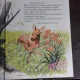 ANIMAL IN THE FOREST, CARTE PENTRU COPII, INLIMBA ENGLEZA