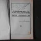 ANIMALE DIN JUNGLA - E. ALEXANDRESCU